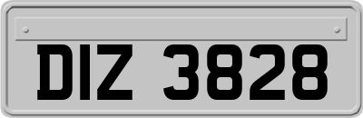 DIZ3828