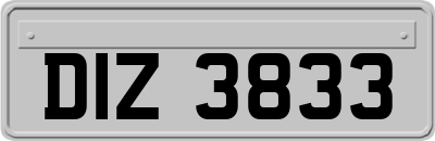 DIZ3833