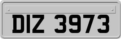 DIZ3973
