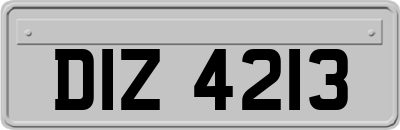 DIZ4213