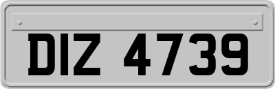 DIZ4739