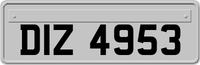 DIZ4953