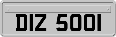 DIZ5001