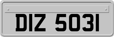 DIZ5031