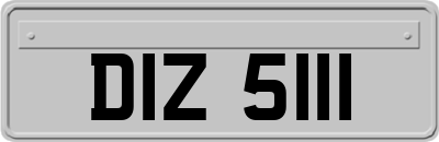 DIZ5111