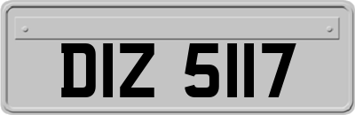 DIZ5117