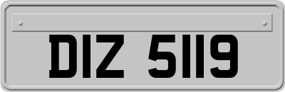 DIZ5119