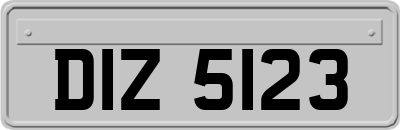 DIZ5123