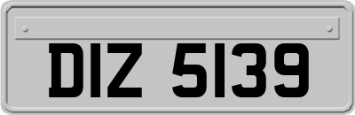 DIZ5139