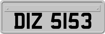 DIZ5153