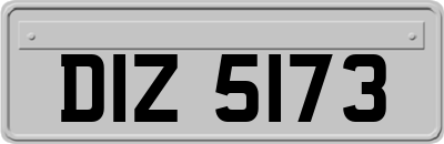 DIZ5173