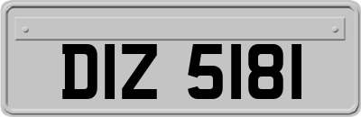 DIZ5181