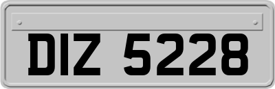 DIZ5228