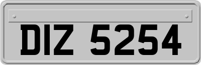 DIZ5254