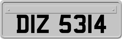 DIZ5314