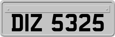 DIZ5325