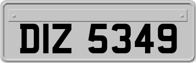 DIZ5349