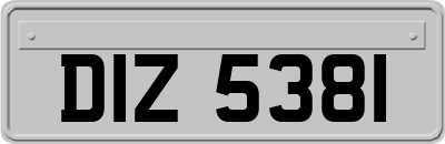 DIZ5381