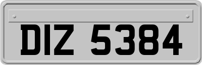 DIZ5384