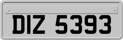 DIZ5393