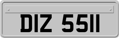 DIZ5511
