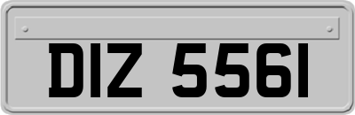 DIZ5561