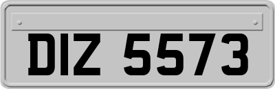 DIZ5573