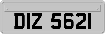 DIZ5621