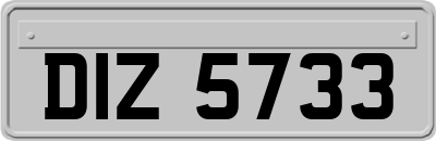 DIZ5733