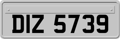 DIZ5739