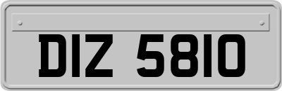 DIZ5810