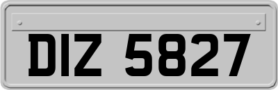DIZ5827