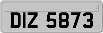 DIZ5873