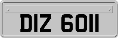 DIZ6011