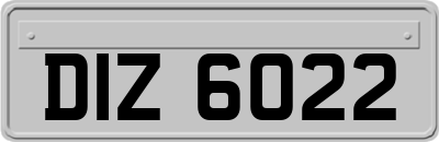 DIZ6022