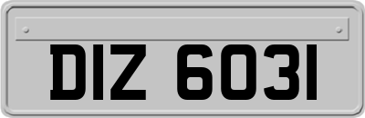 DIZ6031