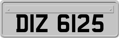 DIZ6125