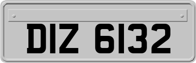 DIZ6132