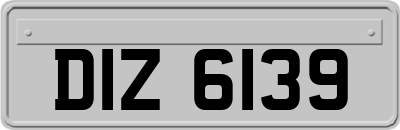 DIZ6139