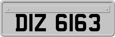 DIZ6163