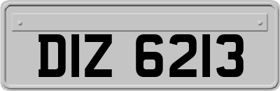 DIZ6213