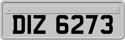 DIZ6273