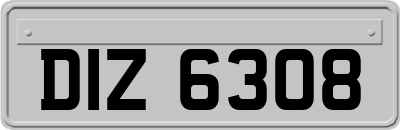 DIZ6308