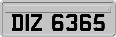 DIZ6365