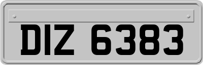 DIZ6383