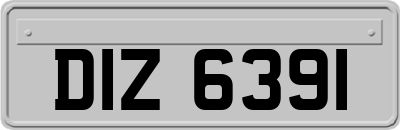 DIZ6391