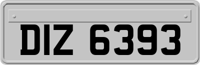DIZ6393