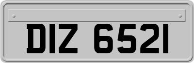 DIZ6521