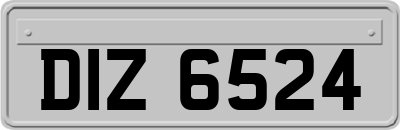 DIZ6524