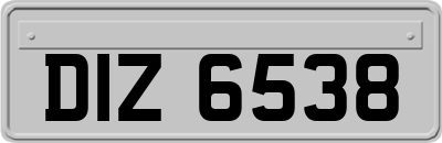 DIZ6538